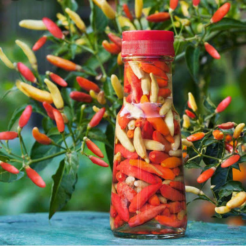 Large crop of red and green hot chili peppers
